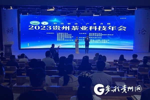 贵州队突破瓶颈，取得胜利