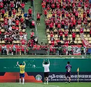球队球迷赛后庆祝影响比赛进程备受质疑